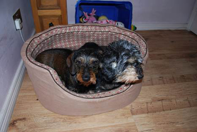 Beryl and Mollie