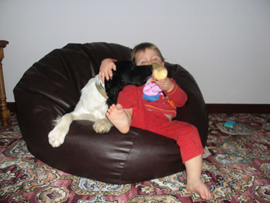 Dog and Child